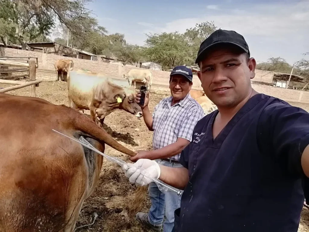 inseminación-artificial-bovina